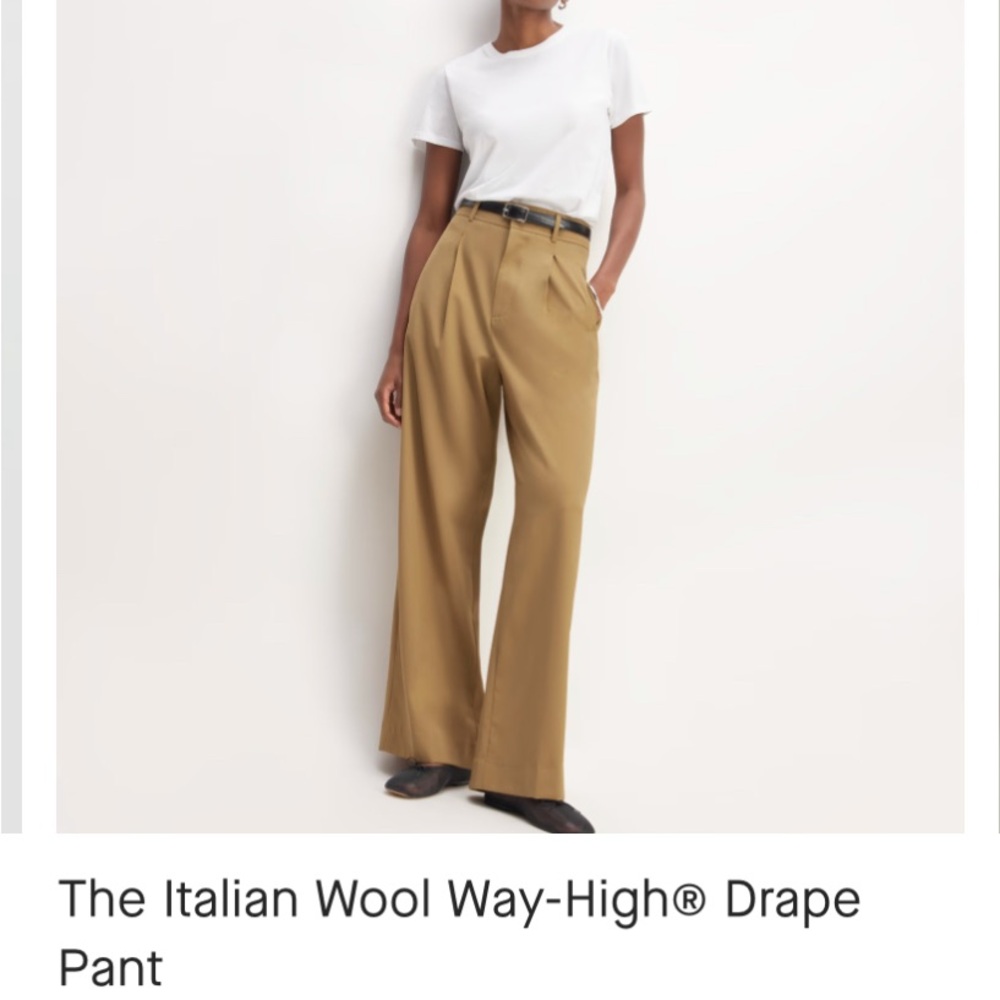 Everlane Tan Wide Leg Pants with Tailored Finish